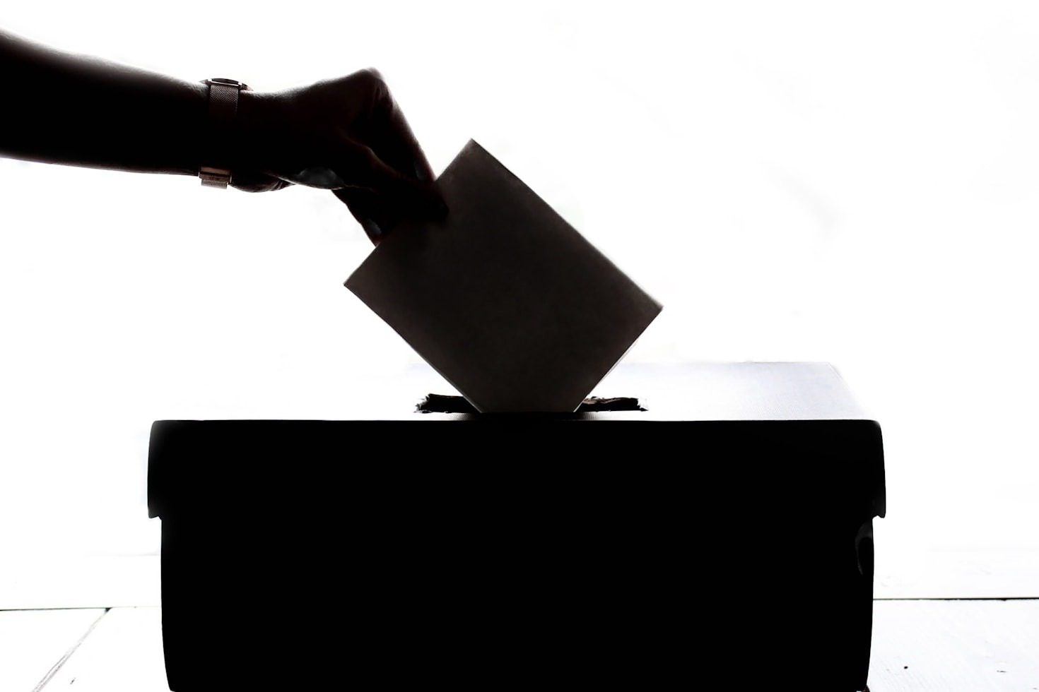 How to Participate in Clearwater’s Election